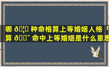 哪 🦟 种命格算上等婚姻人格「算 🐯 命中上等婚姻是什么意思」